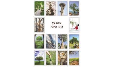 מצגת1