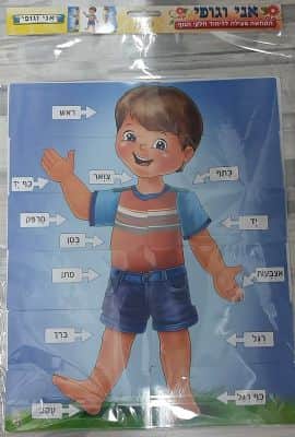 המחשה אני וגופי