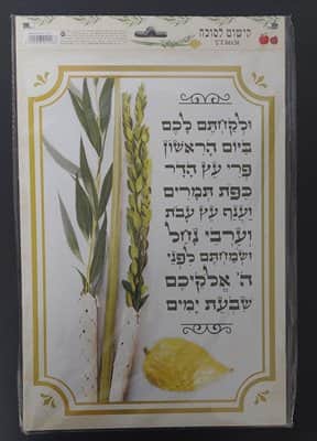 קישוט לסוכה ברכת המינים <BR> 24X37