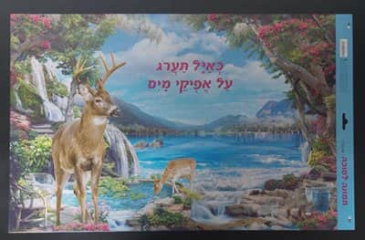 קישוט סוכה תמונה "כאייל תערוג" <BR>60X38