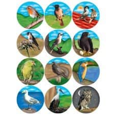 מדבקות ציפורים 30 מ"מ