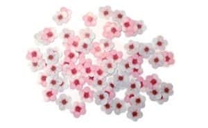 חיתוכי פרחי שקדיה ליצירה והדבקה