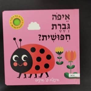 איפה גברת חיפושית?