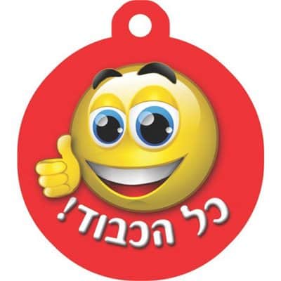 תליון כל הכבוד <BR> 36 יח