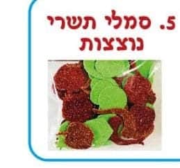 מדבקות סול סמלי תשרי נוצץ