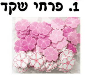 מדבקות סול פרחי שקד