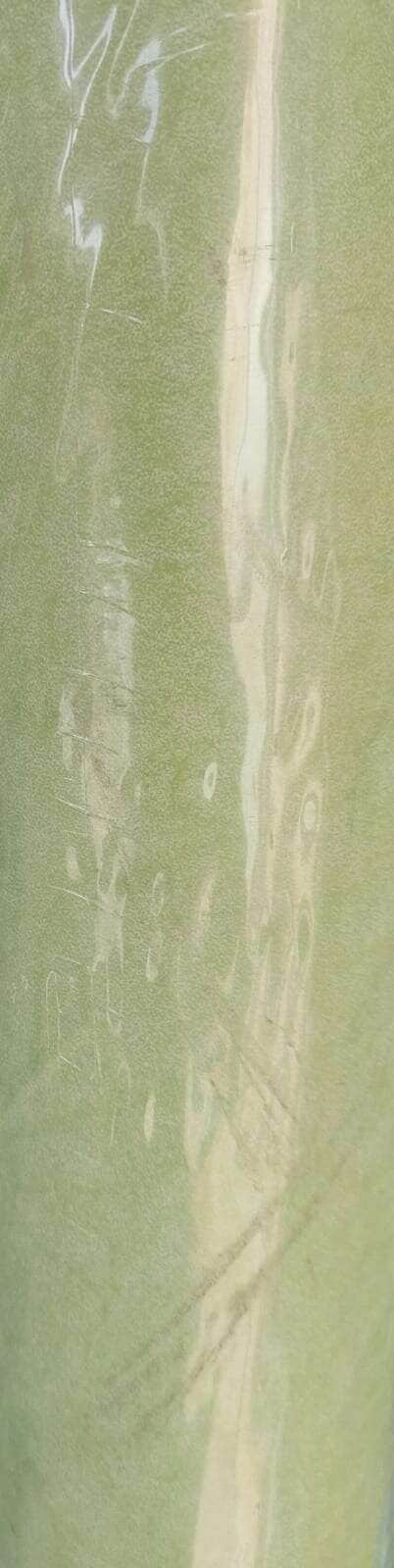 שעוונית ירוקה <BR> רוחב 1.4