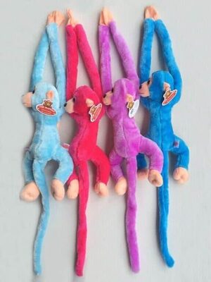 קוף פרווה סקוטש- מחבק