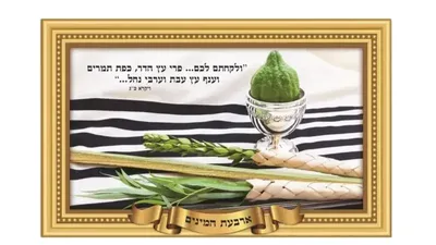 פלקט ארבעת המינים עמיד במים <BR> 45X68