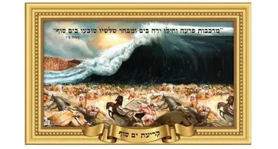 פלקט קריעת ים סוף- עמיד במים <BR> 45X68