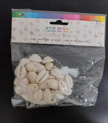 צדפות/צדפים עם חורים לבנים <BR> 2.5X1.5 סמ