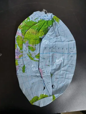 כדור ים גלובוס