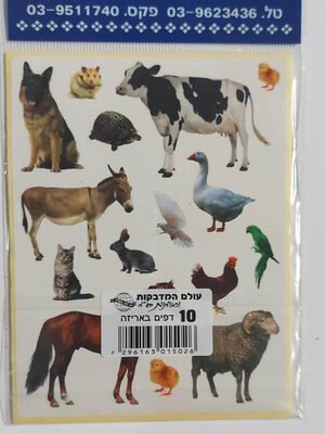 חיות בית בגדלים שונים<BR>10 דף