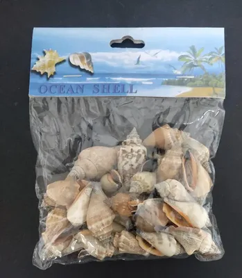 קונכיות מעורב גדלים