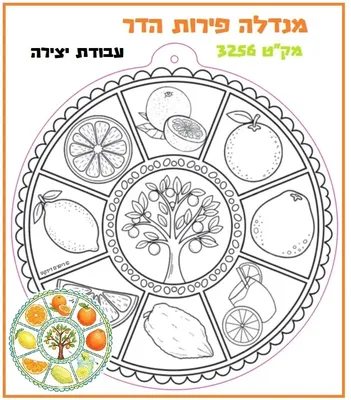 מנדלה ליצירה פירות הדר <BR> 36 יח