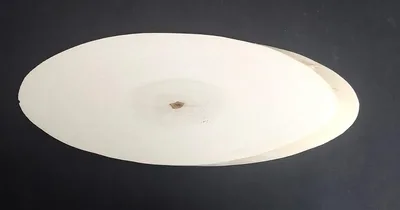 פרוסת עץ אליפסה 29X10