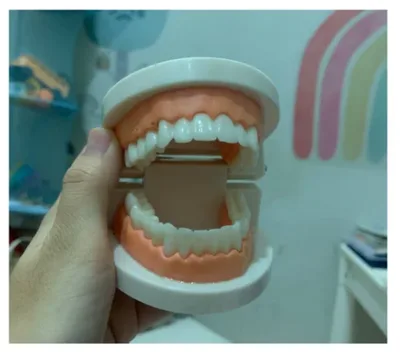 ערכת הדגמה לצחצוח שיניים