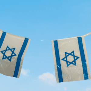 שרשרת דגלים מניילון <BR> 80 יח 50 מטר