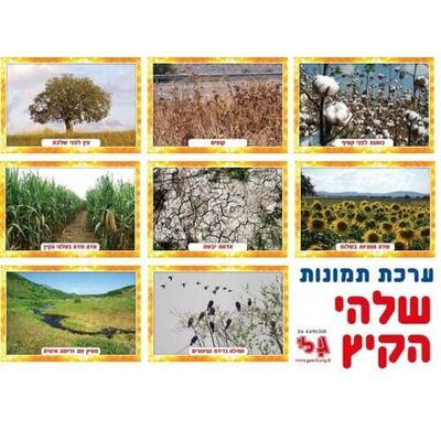 ערכת תמונות שלהי הקיץ