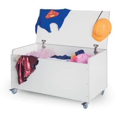 ארגז תחפושות