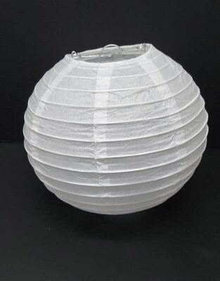 אהיל אקורדיון לבן