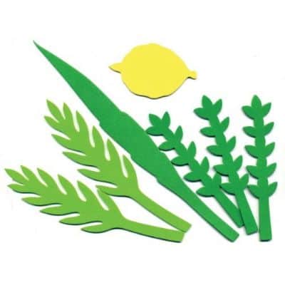 גזירות סול ארבעת המינים