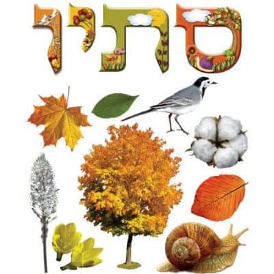 כרזה סתיו
