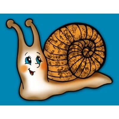 יצירה חילזון עם סול גרוס <BR>36 יח